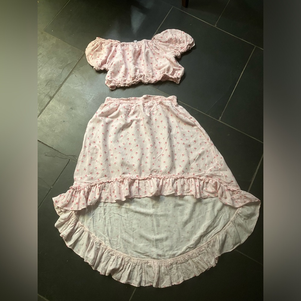 Women’s Ivy City Co Size 2X Pink Top and Skirt